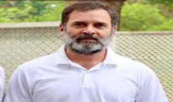 माधवी बुच के खिलाफ हम करेंगे कार्रवाई : राहुल