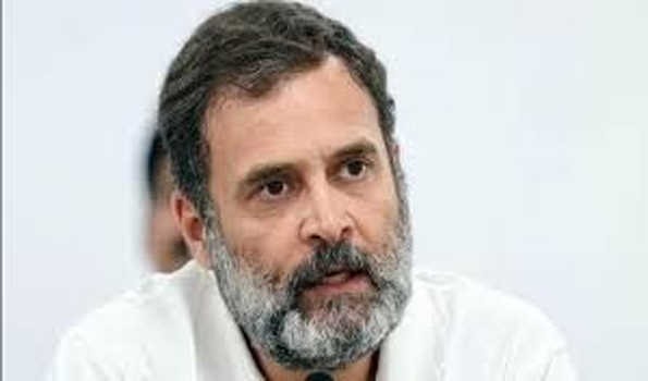 सरकारी संस्थानों और शिक्षा पर ज्यादा पैसा खर्च करने की जरूरत-राहुल