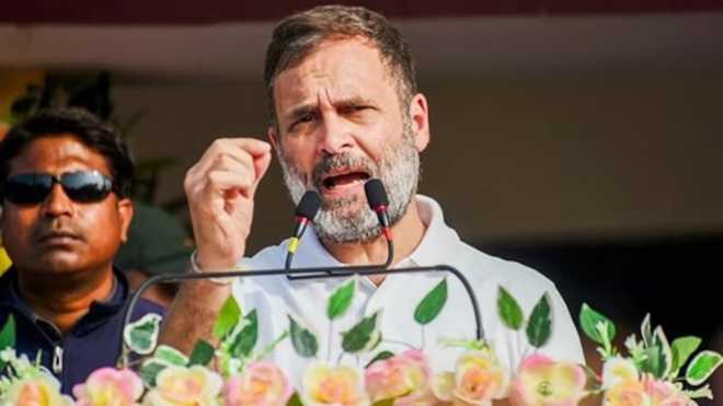 جموں و کشمیر کے تمام لوگوں نے پہلگام واقعے کی مذمت کی: راہل گاندھی