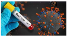 کیرالہ نے ’نپاہ‘ پر قابو پانے کے لیے متعددحکمت عملیاں وضع کیں