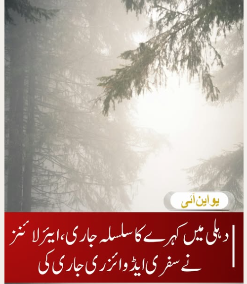 دہلی  میں کہرے کا سلسلہ جاری ، ایئرلائنز نے سفری ایڈوائزری جاری کی