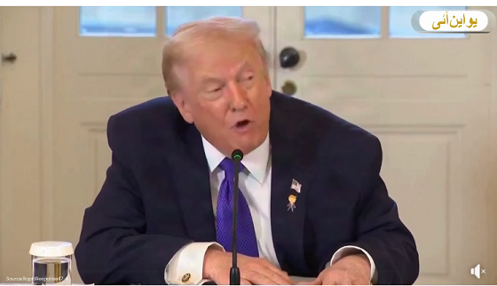 روس اور چین کو روکنے کے لیے امریکہ کو گرین لینڈ پر کنٹرول حاصل کرنا چاہیے: ٹرمپ