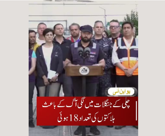 چلی میں جنگلاتی آگ سے ہلاکتوں کی تعداد 18 ہوئی