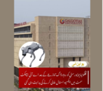 گلگوٹیا یونیورسٹی کو روبو ڈاگ تنازعے کے بعد اے آئی امپیکٹ سمٹ 2026 میں ایکسپو اسٹال خالی کرنے کی ہدایت  دی گئی۔