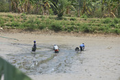 RANCHI,  APR 27,(UNI):-  People catching fish  in a dried pond on a hot summer day on the outskirts of Ranchi  on Saturday.UNI PHOTO-20u