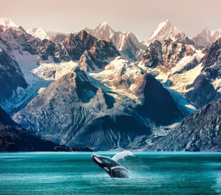 China's Arctic passage signals strategic shift in global shipping