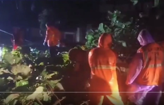 AP: Cyclone Arnab batters north AP districts, 2 deaths reported