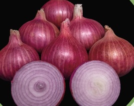 Asia's largest onion market: Where is it and what are the current prices?