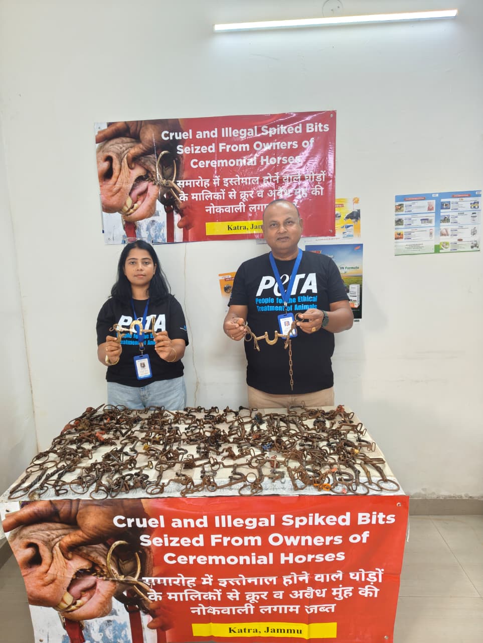 J&K: Jammu Animal Husbandry Department, PETA India seize 140 illegal spiked bits in Katra, Shiv Khori