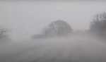 Snowstorm