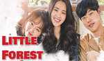 Korean Movie 'Little Forest' to be screened at IIC on Nov 30