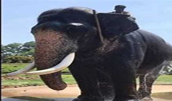 Karnataka : Mysuru Dasara fame pachyderm dies
