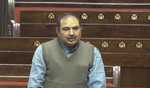 Several issues raised  by members in RS on day two