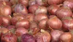 Centre bans onion export till March 2024 to keep inflation in check