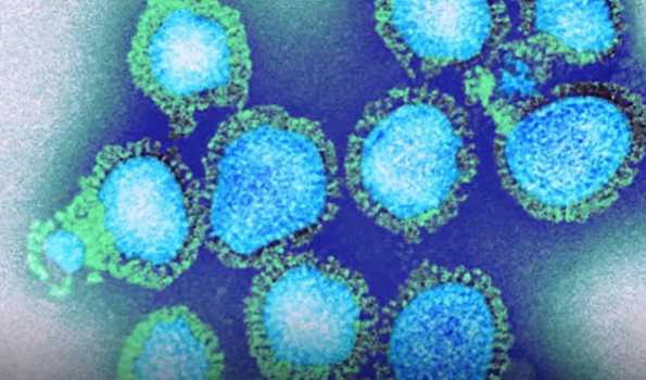 Odisha  steps up surveillance after detection of 59 H3N2 Influenza virus
