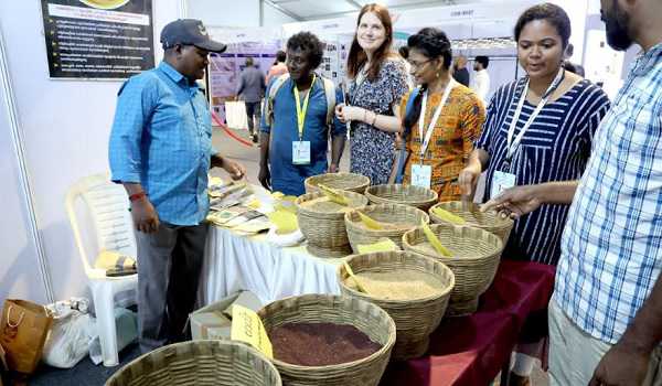 Millet Food Expo draws steady crowd of visitors