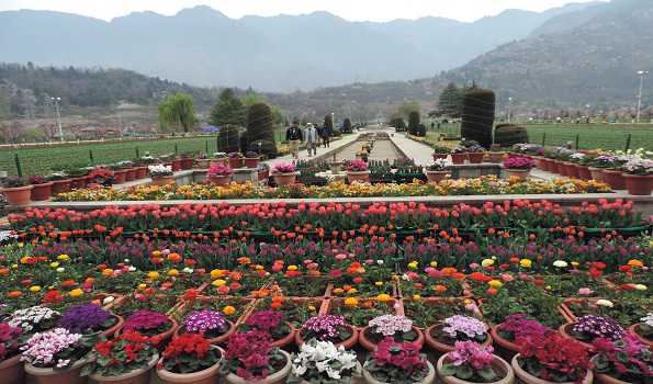 Asia’s largest Tulip garden in Srinagar all set to open for tourists