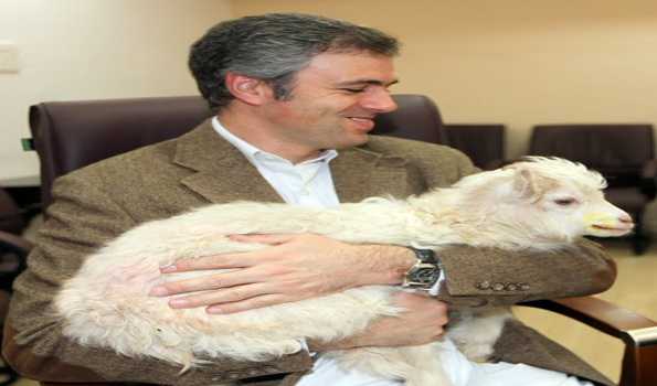 World’s first cloned Pashmina goat, Noori, dies in Kashmir