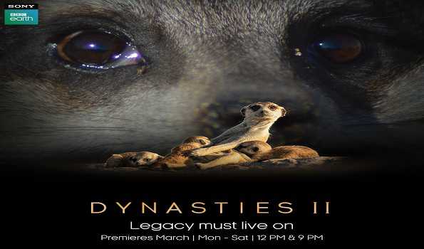 Sony BBC Earth launches ‘Dynasties’ S2