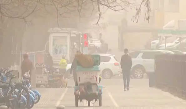 Over 2.90L head of livestock killed in E Mongolia due to dust, snow storms