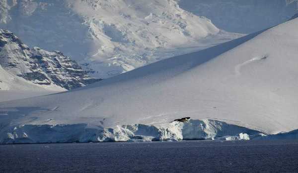 Climate change slowing Antarctic deep sea current, reducing oxy levels