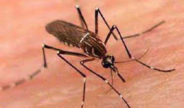 18 Dengue patient died in last 24 hrs in Bangladesh