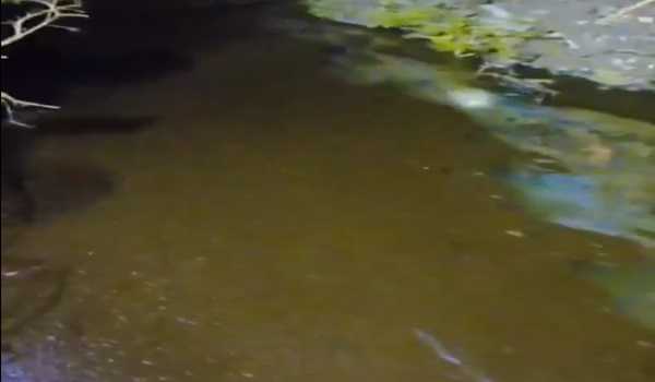 Heavy fuel leakage is controlled in Manipur