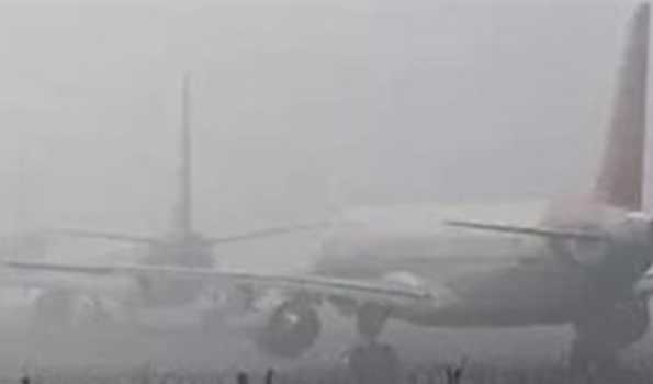 Eighty four flights cancelled as dense fog envelopes north India