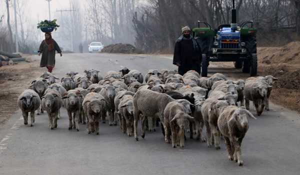 Kashmir continues to reel under cold wave, Pulwama coldest at -6.3