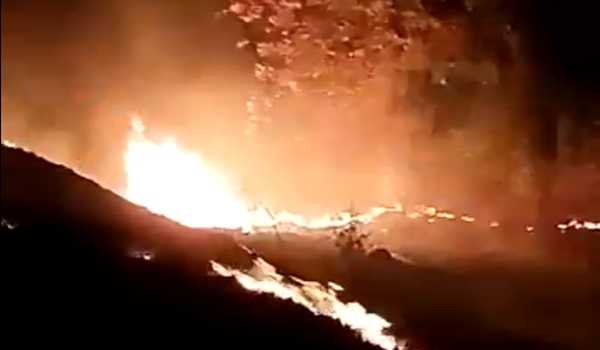Russian Air Defence shoots down 113 Ukrainian drones overnight: Defence Ministry