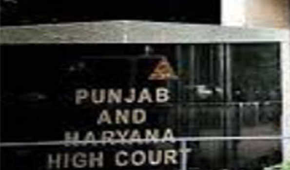 HC directs Punjab govt to provide security to Kulhad Pizza couple