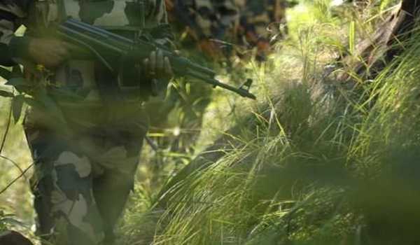 Massive Searches Underway In J&K’s Ganderbal To Trace Terror Attackers