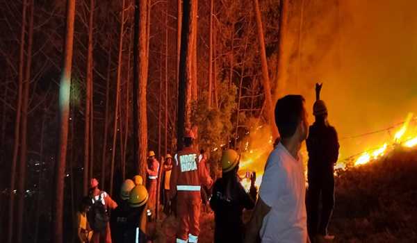 NDMA, Environment Ministry hold workshop on forest fire