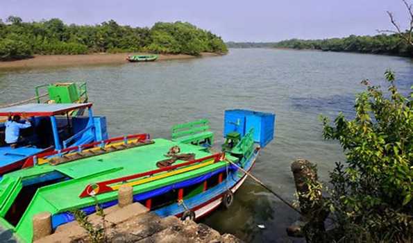 Mangroves helped reduce devastation caused by Cyclone Dana: Senior Forest Official