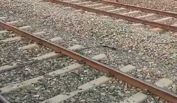 J&K: Man killed after hit by train in Budgam
