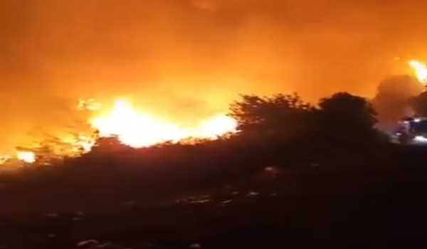 Syrian firefighters battling massive wildfire in Latakia forests