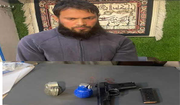J&K: Security forces arrest hardcore Hizb terrorist associate in Pulwama