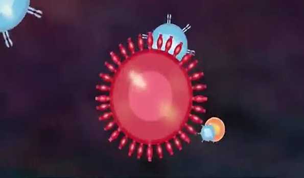 Apollo Cancer Centers introduces CAR-T cell therapy in AP