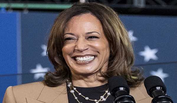 AP projects Harris to win race in New York with 28 electoral votes