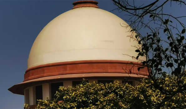 SC asks Centre to justify restricting maternity benefits to adoptive mothers