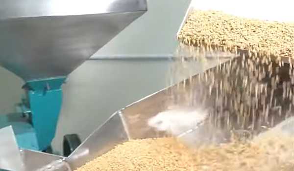 Need sustainable & innovative solutions to help wheat milling industry: Industry leaders