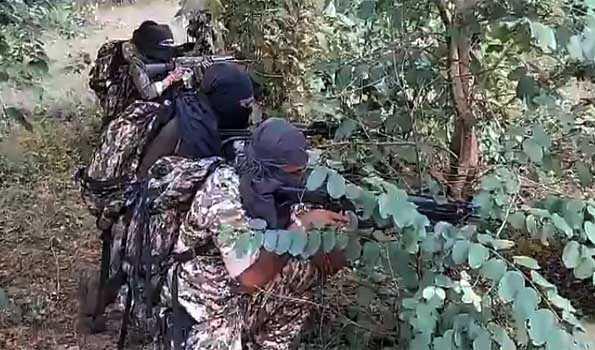 Seven Maoists killed in Police encounter in Telangana