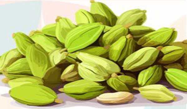 Spices Board warns against illegal cardamom auctions