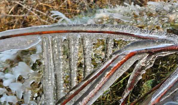 J&K: Night temperature rises but remains below freezing point