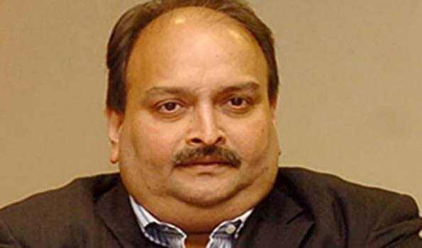 Maha: Court rejects PNB scam accused Choksi