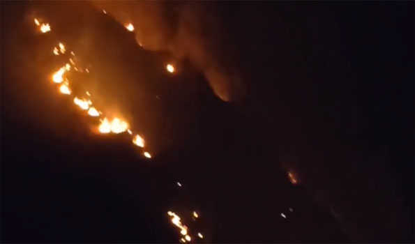 Fire breaks out in Mendhar forests along LoC
