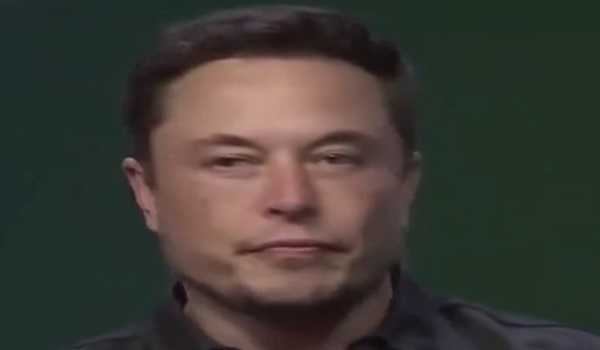 Germany, Europe in danger due to low birth rates: Musk