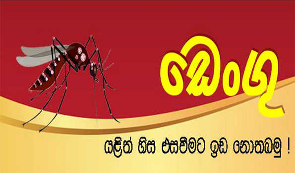 Dengue cases surpass 10,000 in SL in Jan