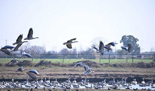 World Wetland Day: Jammu