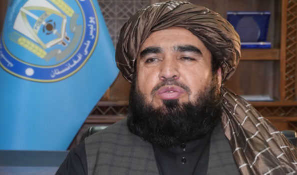 Afghanistan smashes 1,100 drug labs in 2 years: official
